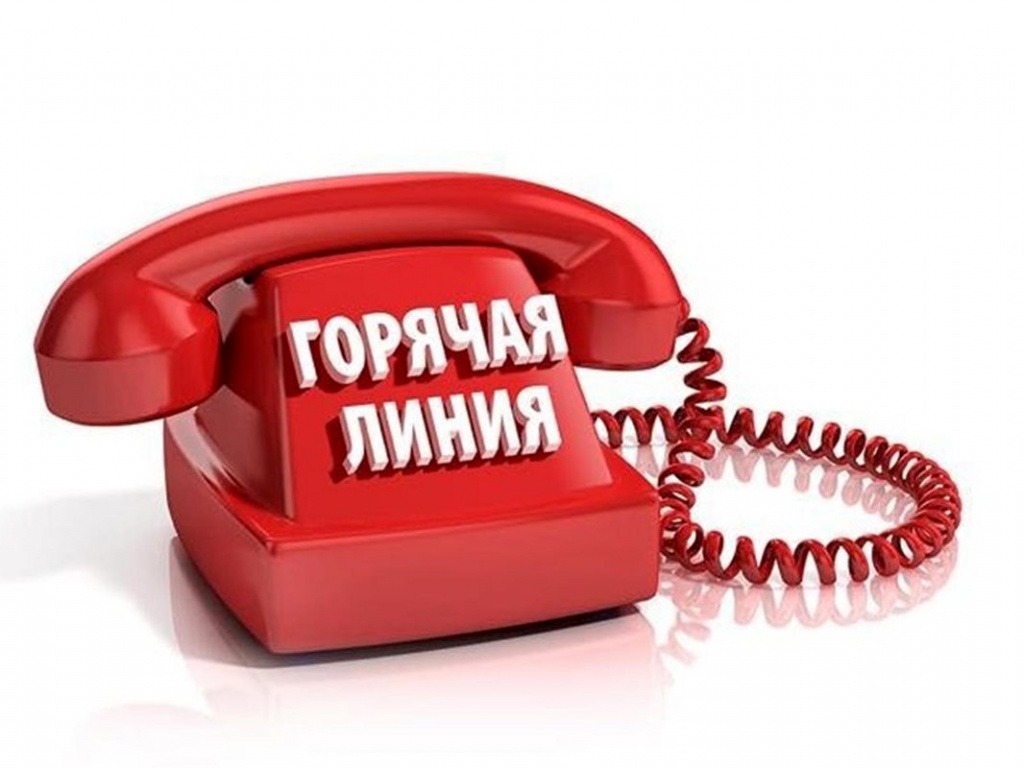 О проведении "Горячей линии".